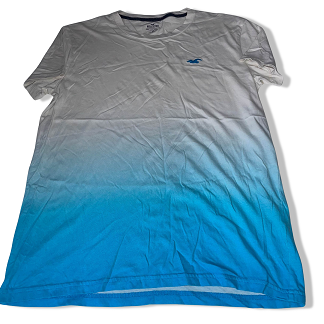 Vintage Hollister co white and blue short sleeve tees XS