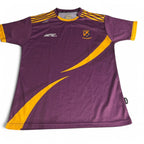Purple and yellow Roscommon GAA jersey #GAA #MayoGAA in sz L sku 6848