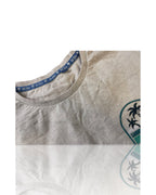 FatFace Men's grey T-shirt |SKU 4166