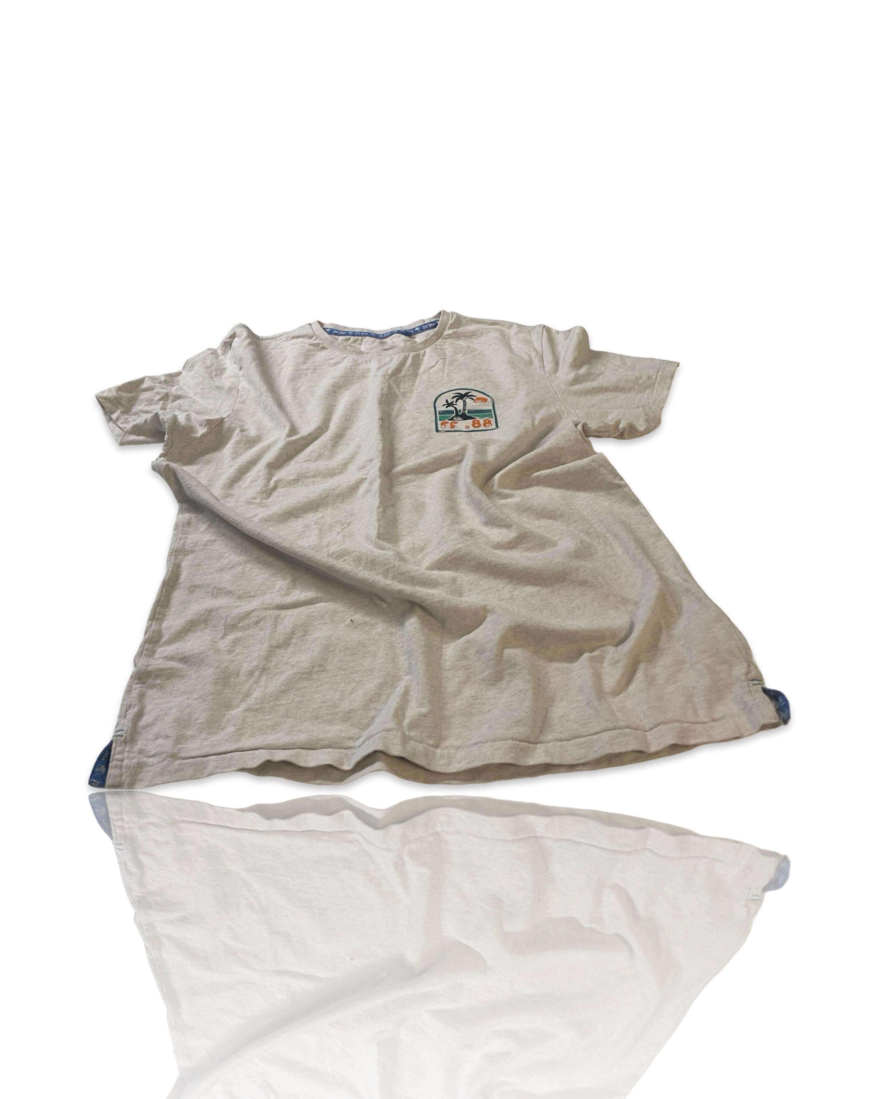 FatFace Men's grey T-shirt |SKU 4166
