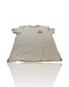 FatFace Men's grey T-shirt |SKU 4166