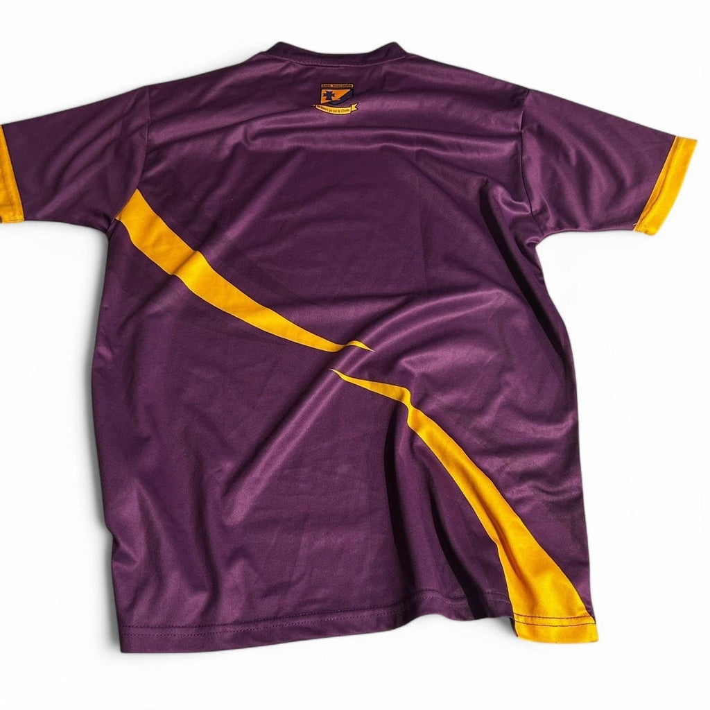 Purple and yellow Roscommon GAA jersey #GAA #MayoGAA in sz L sku 6848