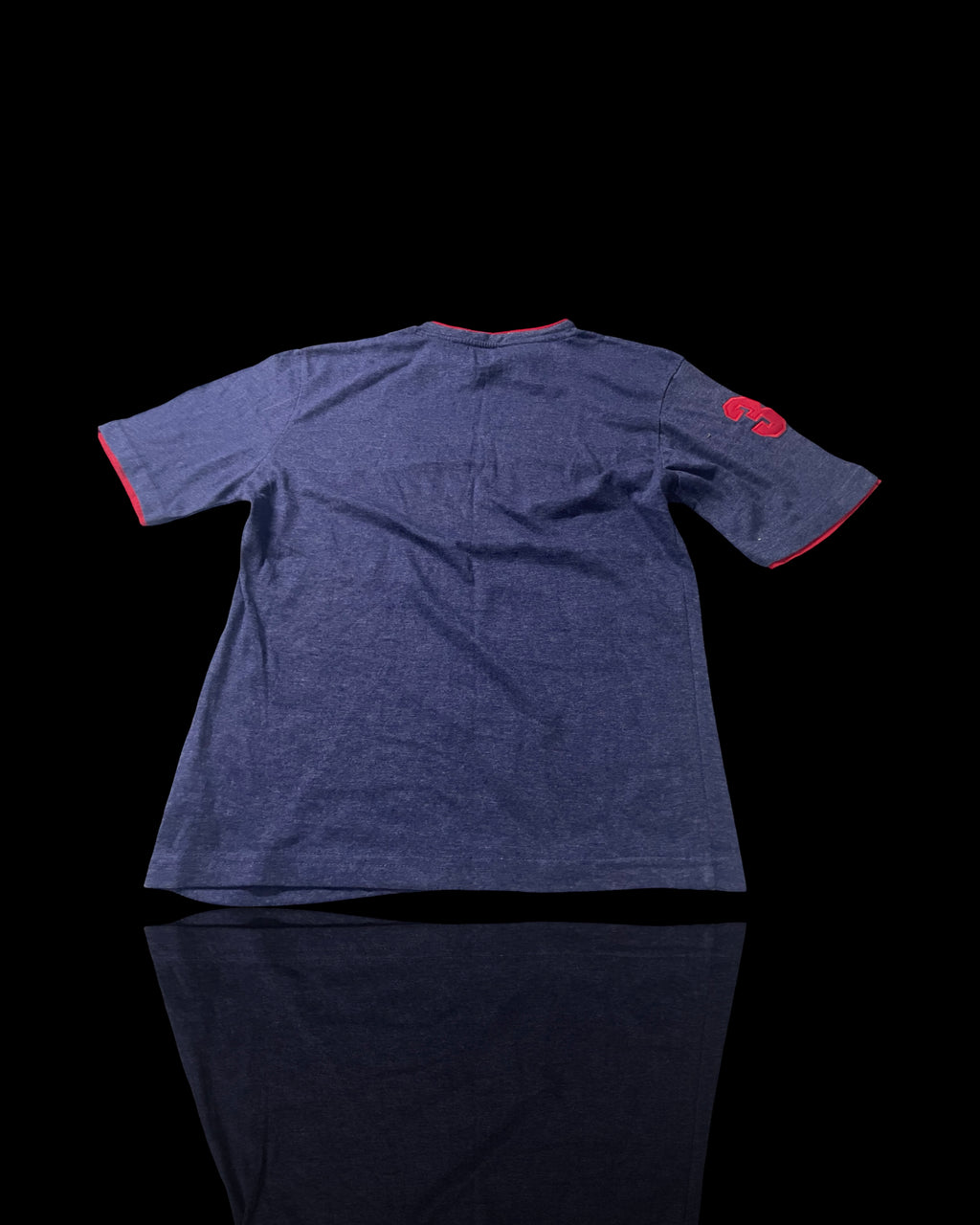 Vintage US Polo Assn medium  Short Sleeve T Shirt women in Medium |SKU 4158