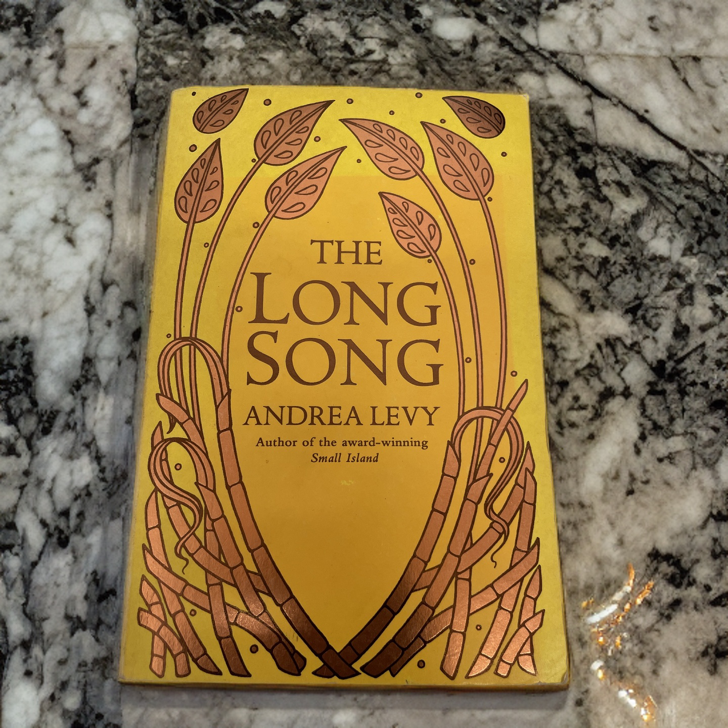 Rubynee Long Song by Andrea Levy, First Edition