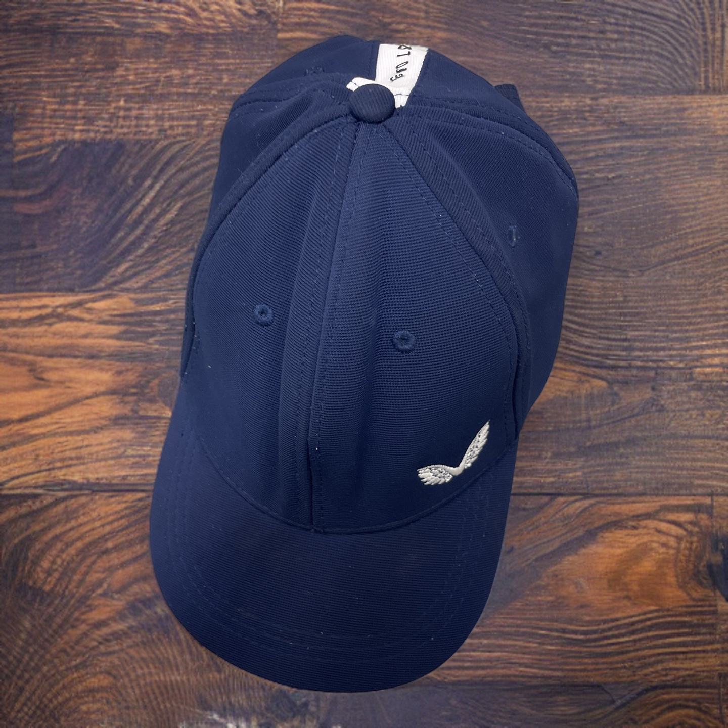 Rubynee Vintage y2k Castore wings baseball cap in blue