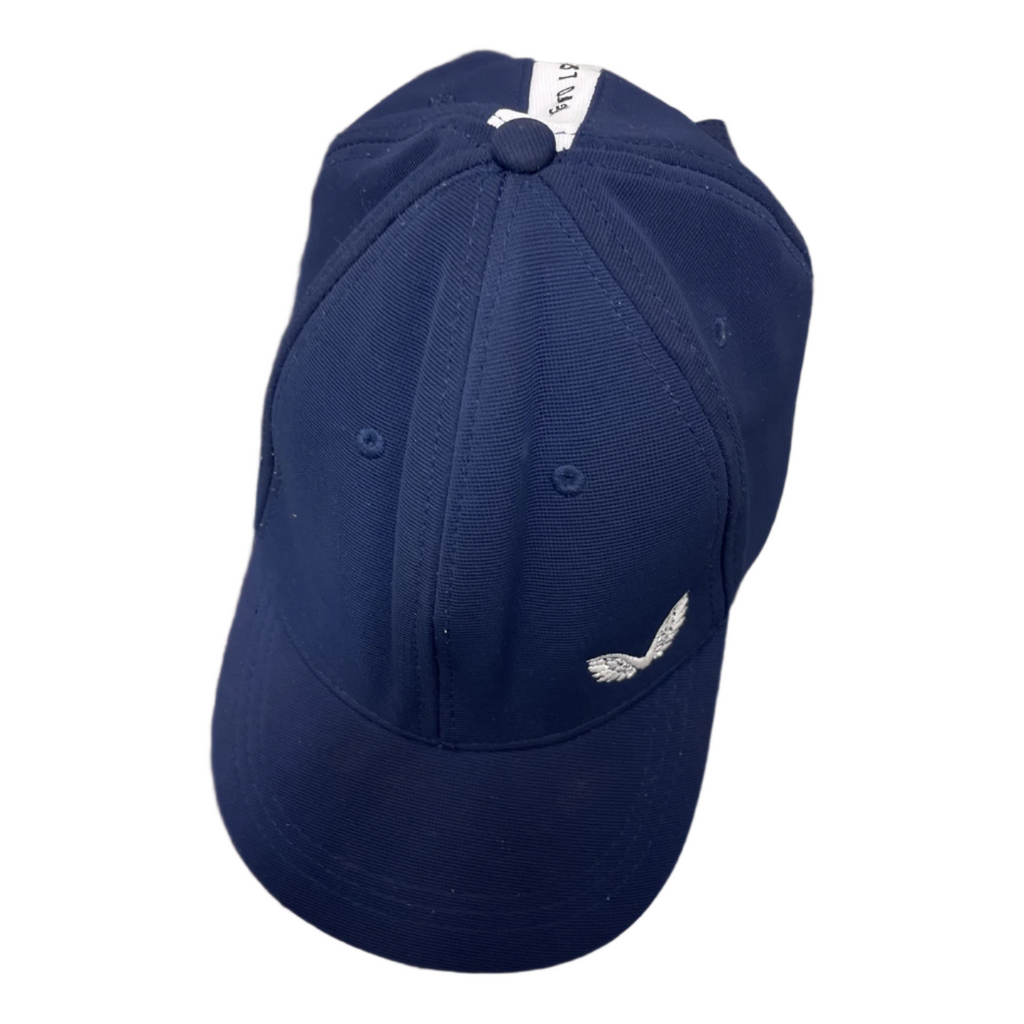 Rubynee Vintage y2k Castore wings baseball cap in blue