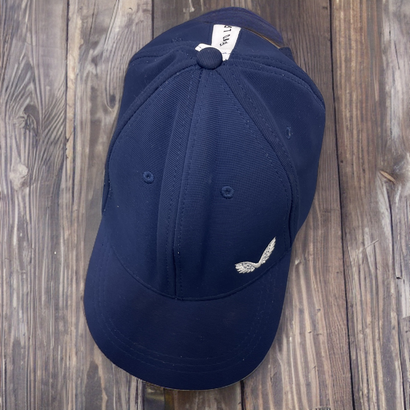 Rubynee Vintage y2k Castore wings baseball cap in blue