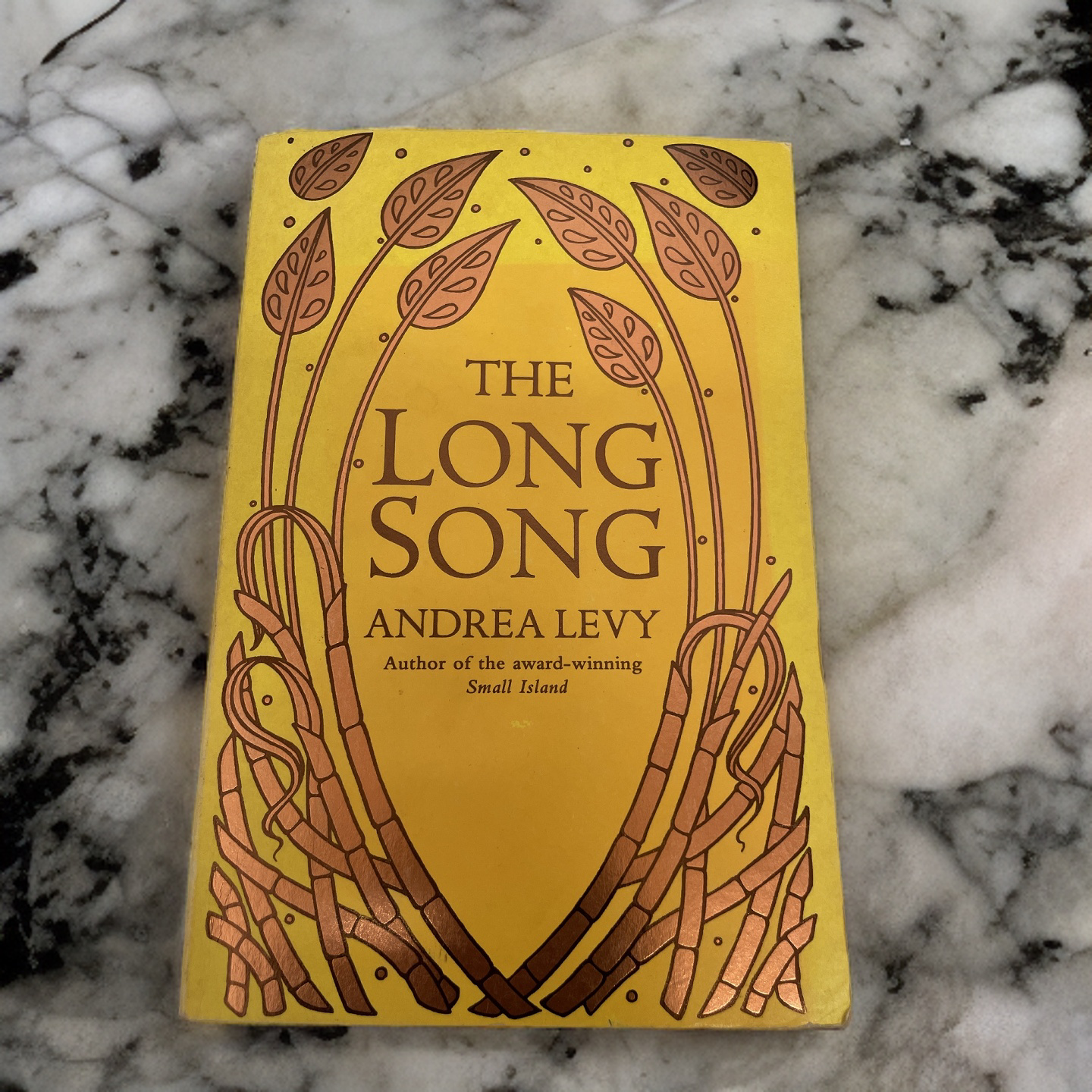 Rubynee Long Song by Andrea Levy, First Edition