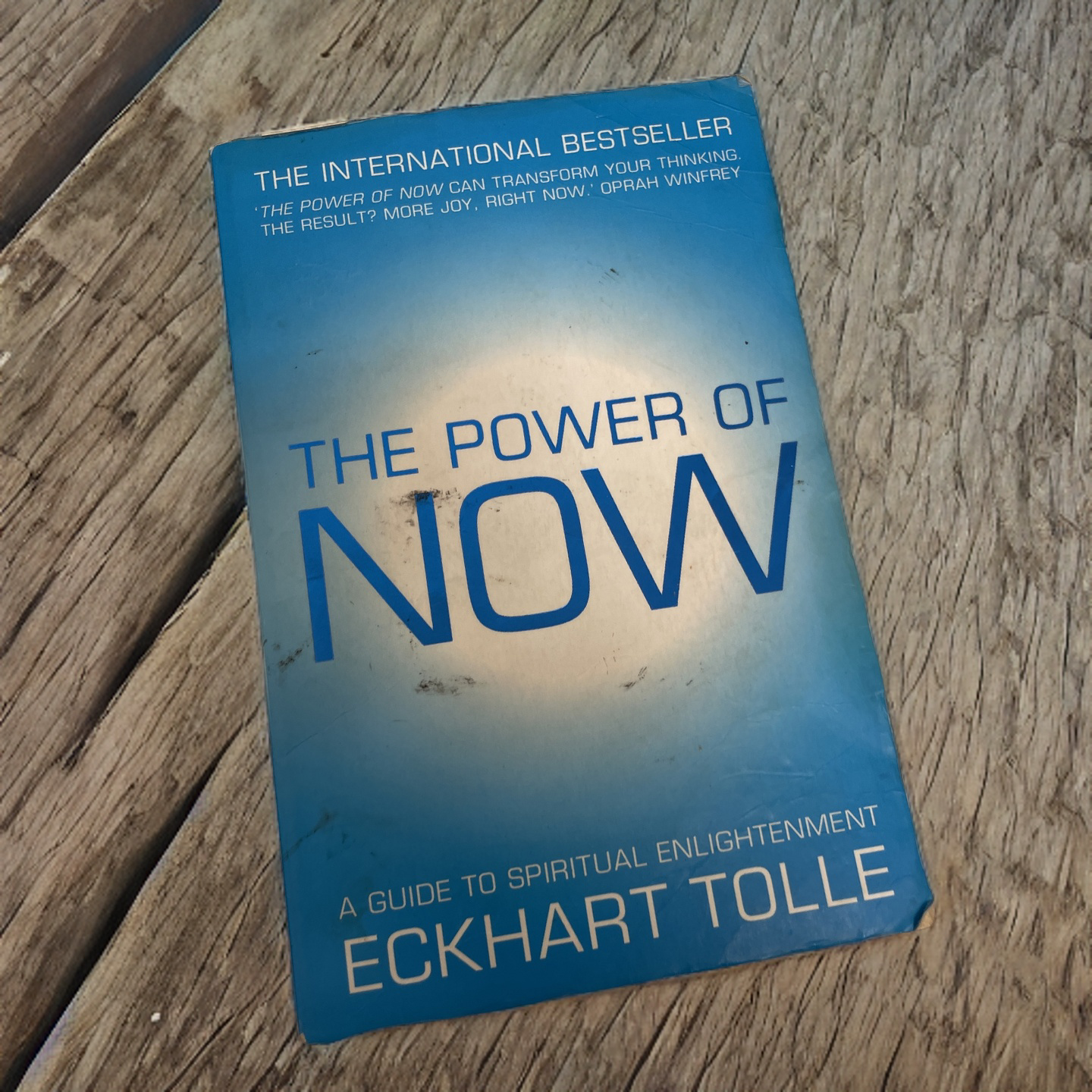 Rubynee The Power of Now: A Guide to Spiritual Enlightenment Book by Eckhart Tolle