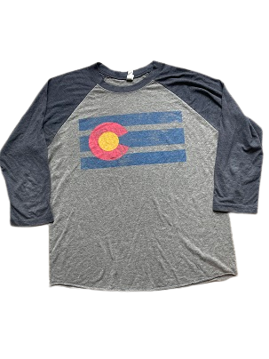 Rubynee Vintage y2k long sleeve tshirt in grey and blue