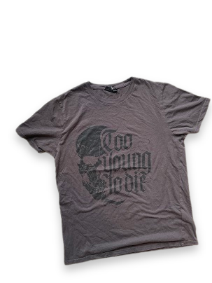 Rubynee Vintage y2k regular fit grey tshirt