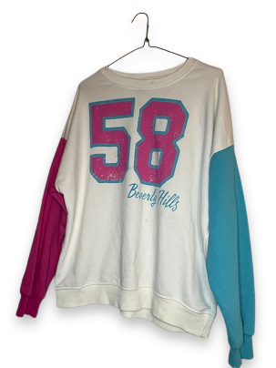 Rubynee Vintage y2k Beverly Hills color block sweatshirt size XL