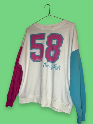 Rubynee Vintage y2k Beverly Hills color block sweatshirt size XL