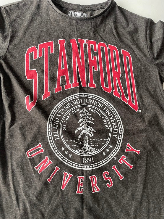 Vintage women's Stanford University graphics grey short sleeve tees in M| L25 W16|SKU 4786