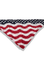 Rachels Closet Vintage y2k flag of American novelty bandana