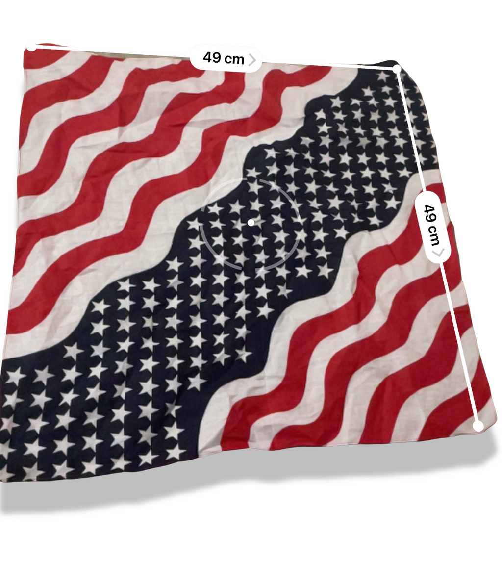 Rachels Closet Vintage y2k flag of American novelty bandana