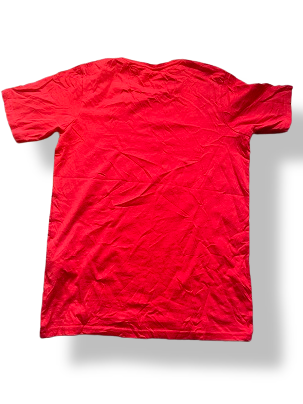 Rubynee Vintage y2k Quiksilver red T-shirt