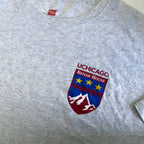 Vintage men Hanes Uchicago Behar House logo print grey tees in XL| L29 W23|SKU 6420