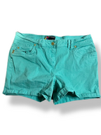 Rubynee Vintage y2k Women's Blue Bum Shorts