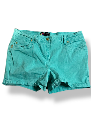 Rubynee Vintage y2k Women's Blue Bum Shorts