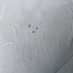 Vintage women made in Italy Just Beautiful & only floral print white soft tees in XL|L28 W24|SKU 6482