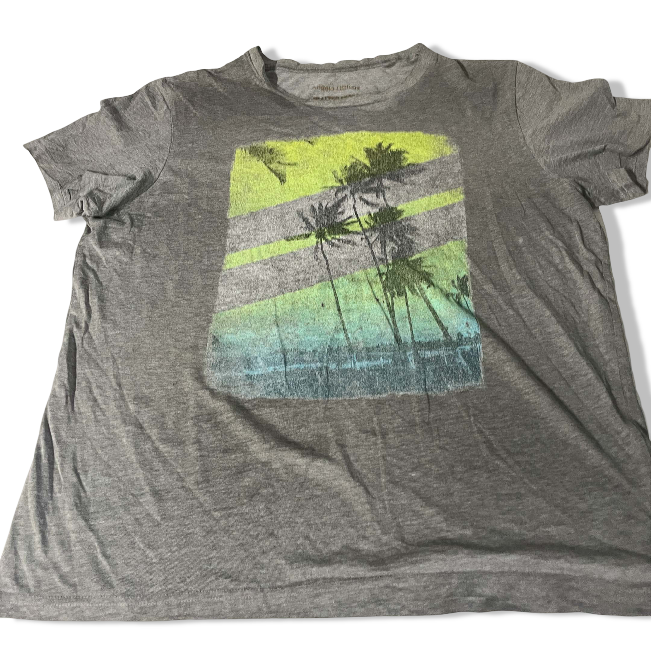 Vintage men Angelo Litrico beach graphics grey tees in M|L27 W22|SKU 6499