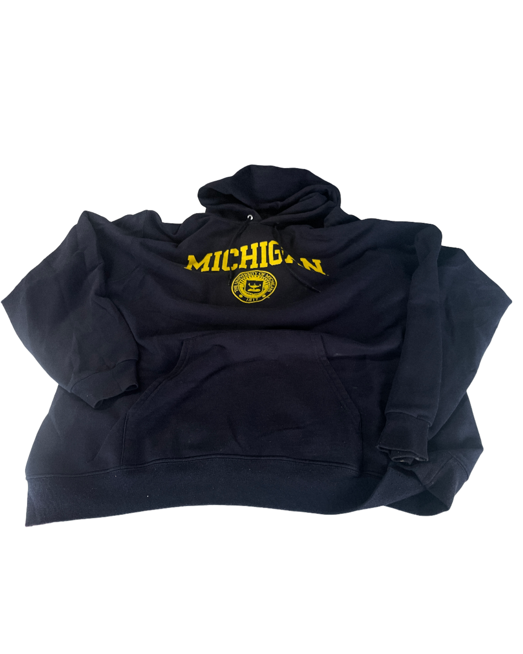 Vintage Champion Hoodie Reverse Weave Michigan Blue 2000's Men's Oversized XL L29 W 25|SKU 5009