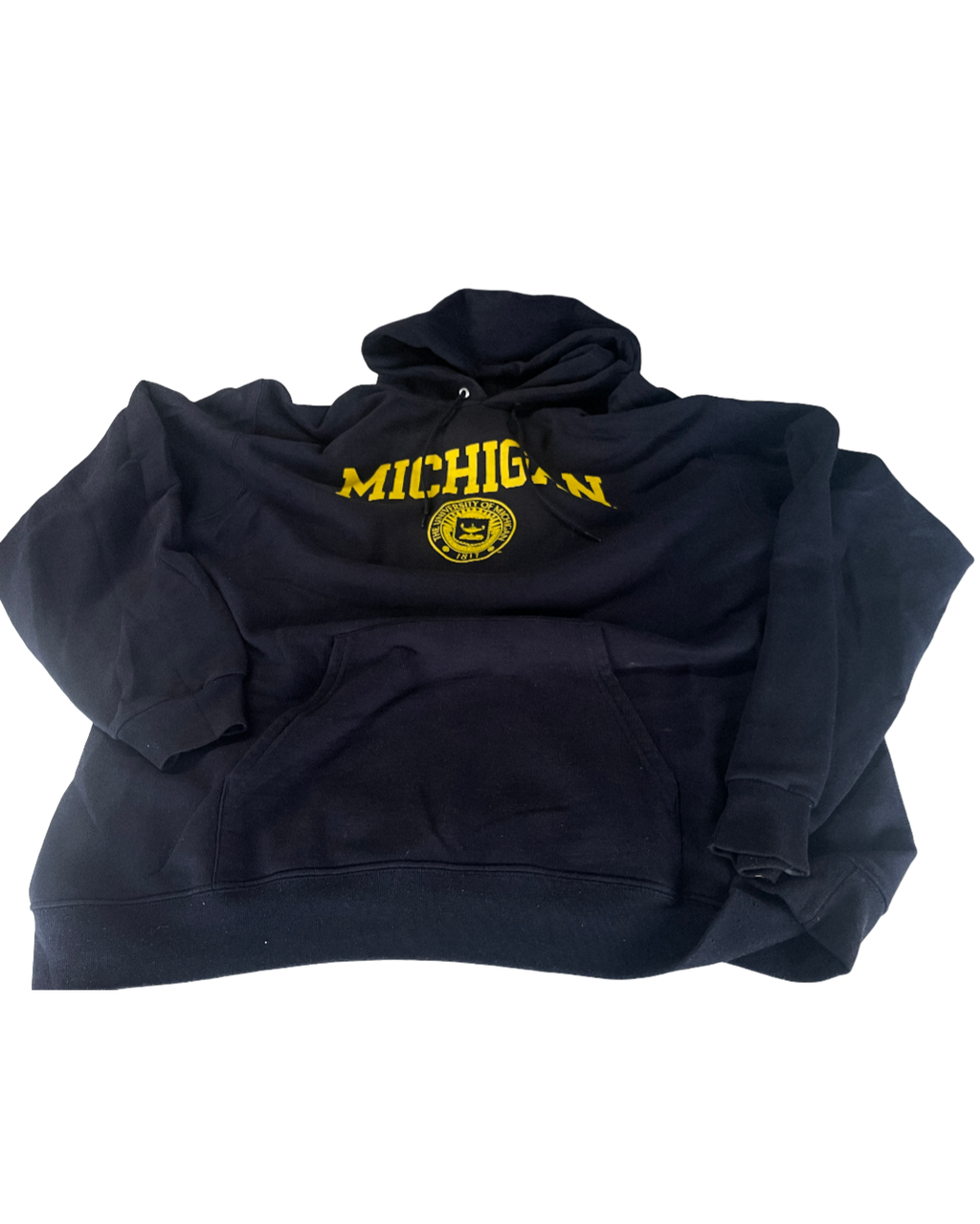 Vintage Champion Hoodie Reverse Weave Michigan Blue 2000's Men's Oversized XL L29 W 25|SKU 5009