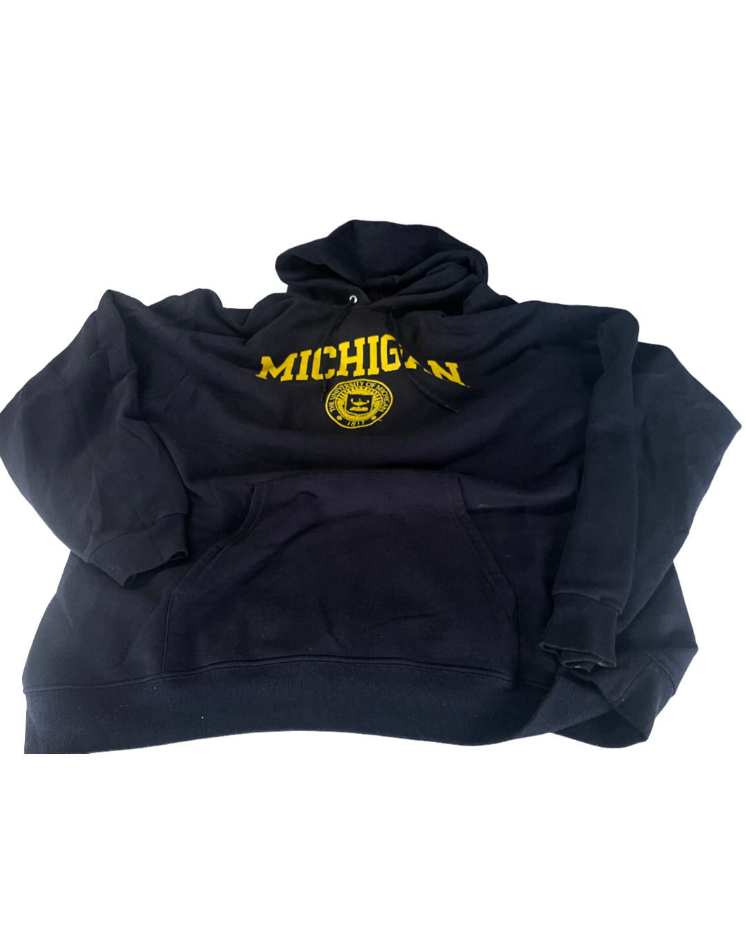 Vintage Champion Hoodie Reverse Weave Michigan Blue 2000's Men's Oversized XL L29 W 25|SKU 5009
