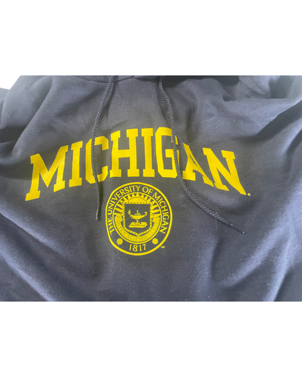 Vintage Champion Hoodie Reverse Weave Michigan Blue 2000's Men's Oversized XL L29 W 25|SKU 5009