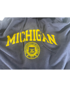 Vintage Champion Hoodie Reverse Weave Michigan Blue 2000's Men's Oversized XL L29 W 25|SKU 5009