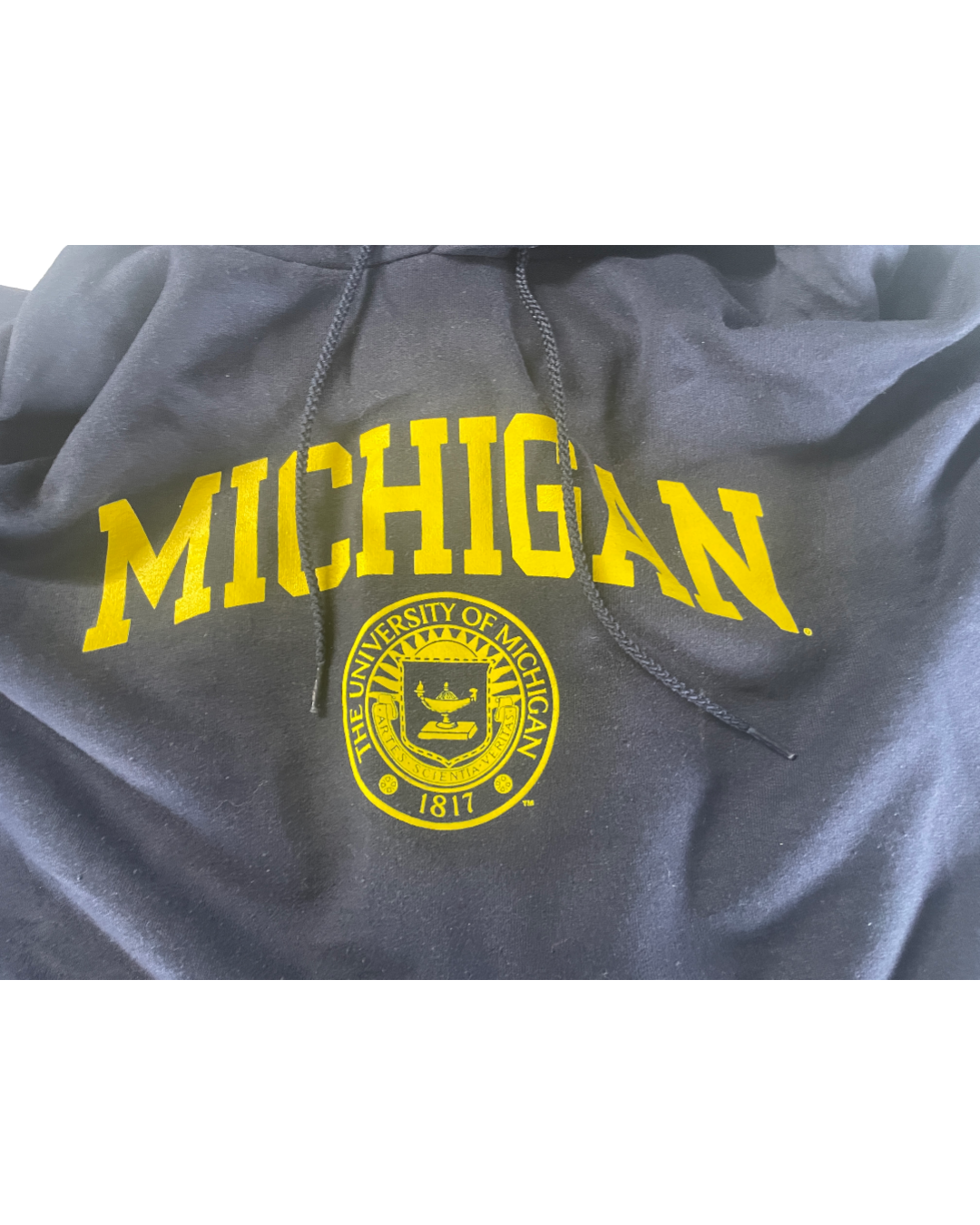 Vintage Champion Hoodie Reverse Weave Michigan Blue 2000's Men's Oversized XL L29 W 25|SKU 5009