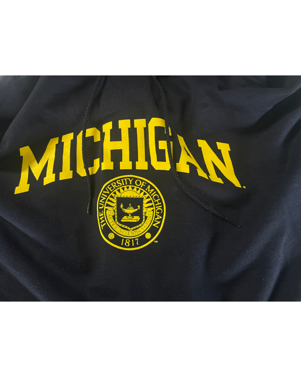 Vintage Champion Hoodie Reverse Weave Michigan Blue 2000's Men's Oversized XL L29 W 25|SKU 5009