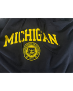 Vintage Champion Hoodie Reverse Weave Michigan Blue 2000's Men's Oversized XL L29 W 25|SKU 5009
