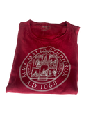 Vintage university Red T-shirt IN EXTRA LARGE L 27 W23 |SKU 5010
