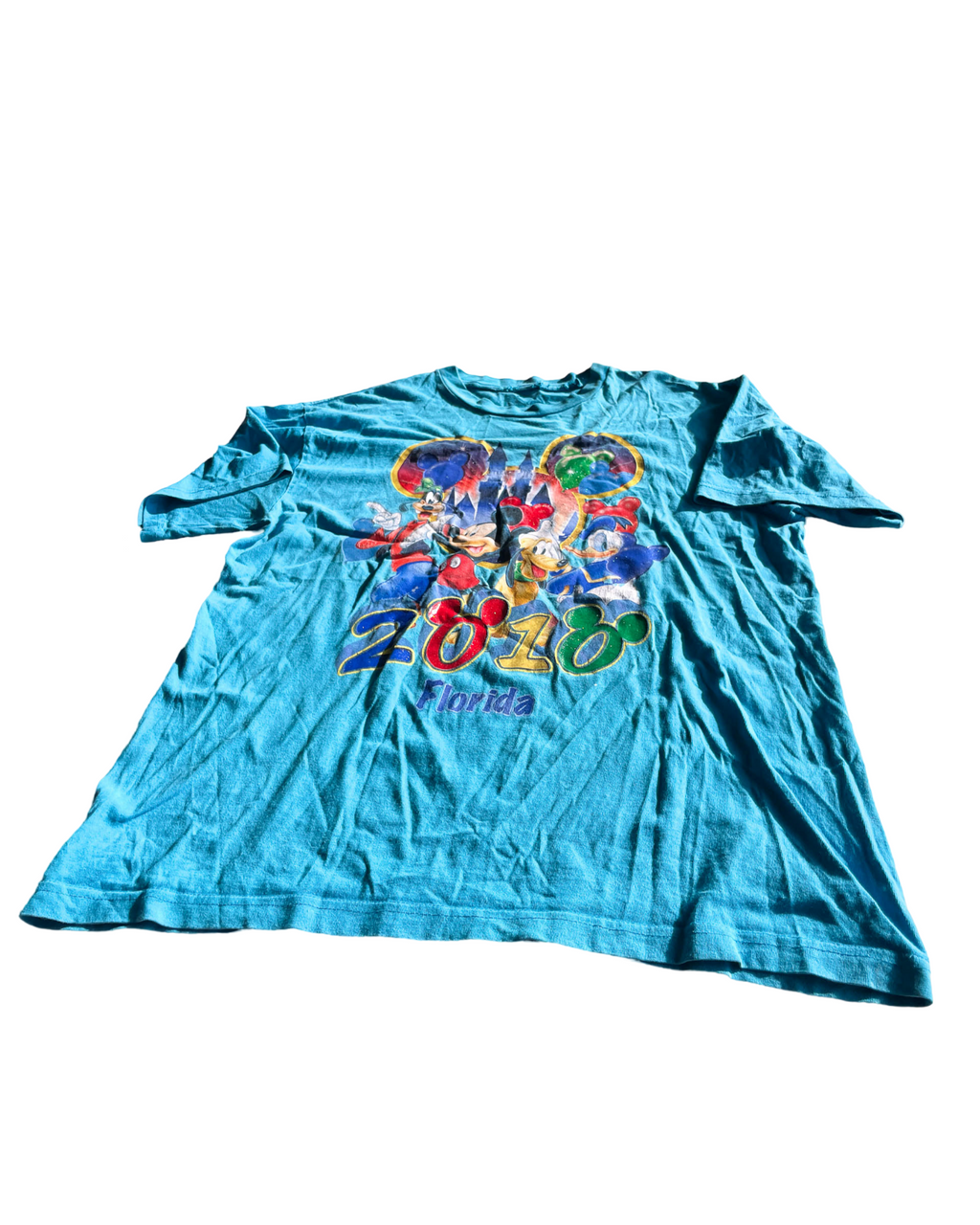 VTG  Disneyland Resort Florida with this Men's 2010 Original T-Shirt. In size L/XL |SKU 5055