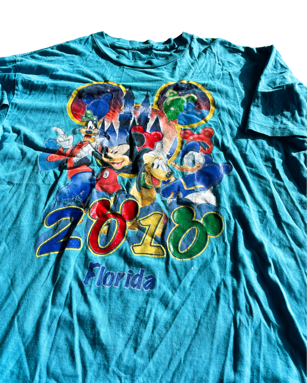 VTG  Disneyland Resort Florida with this Men's 2010 Original T-Shirt. In size L/XL |SKU 5055