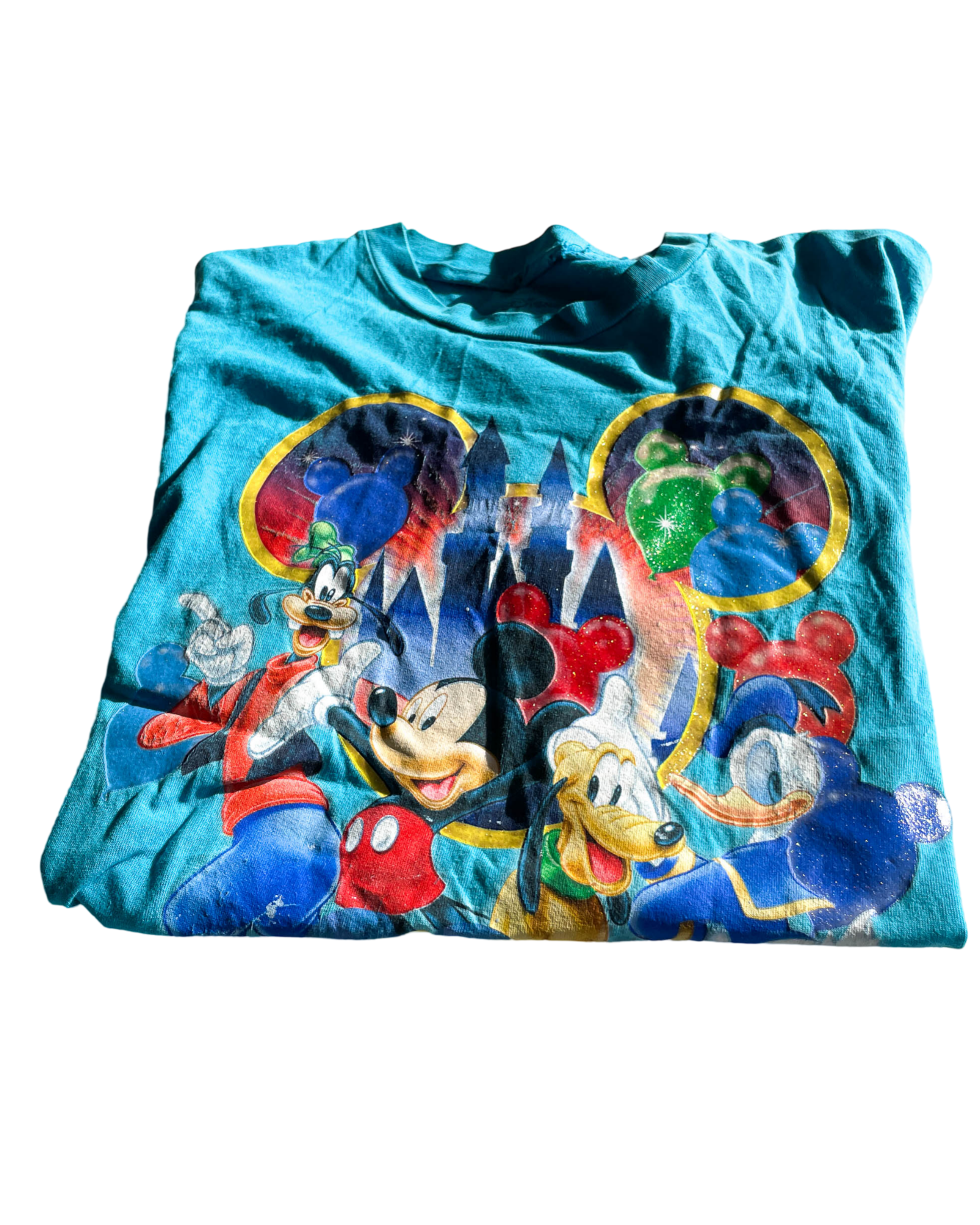 VTG  Disneyland Resort Florida with this Men's 2010 Original T-Shirt. In size L/XL |SKU 5055