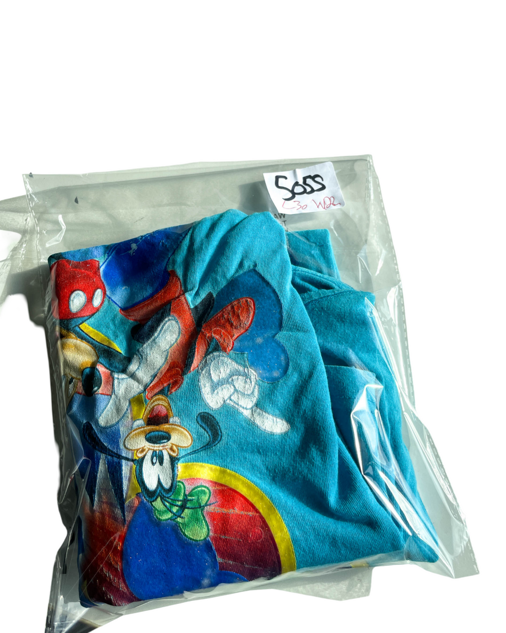 VTG  Disneyland Resort Florida with this Men's 2010 Original T-Shirt. In size L/XL |SKU 5055