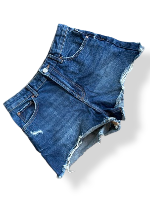 Rubynee Vintage y2k women blue denim Bum shorts