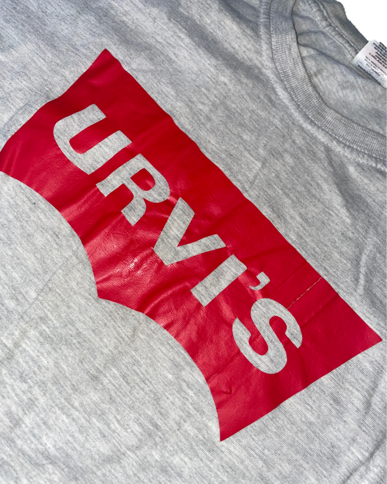 Fruit of the Loom URVI'S Grey Graphic T-Shirt SKU 5093