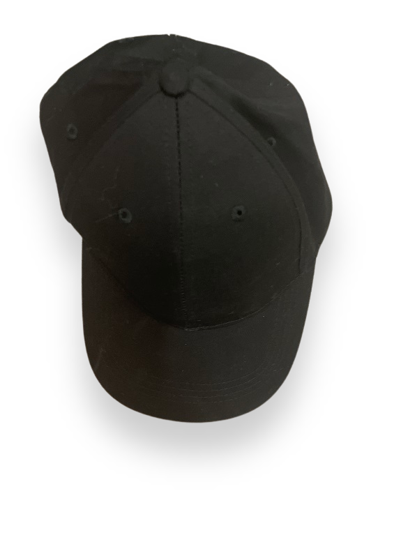 Rubynee y2k Vintage black mens baseball cap