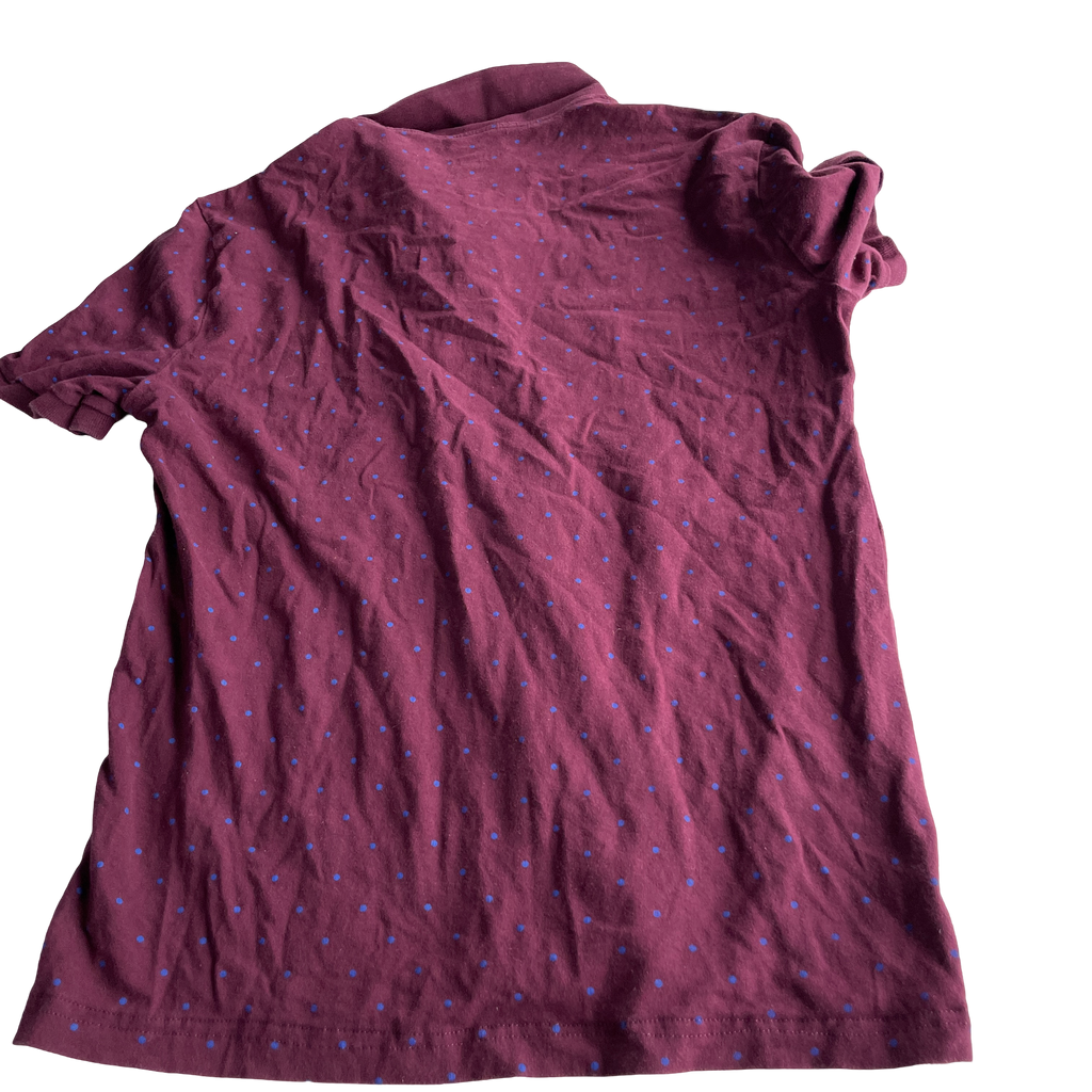 American Eagle Regular Fit Printed Polo