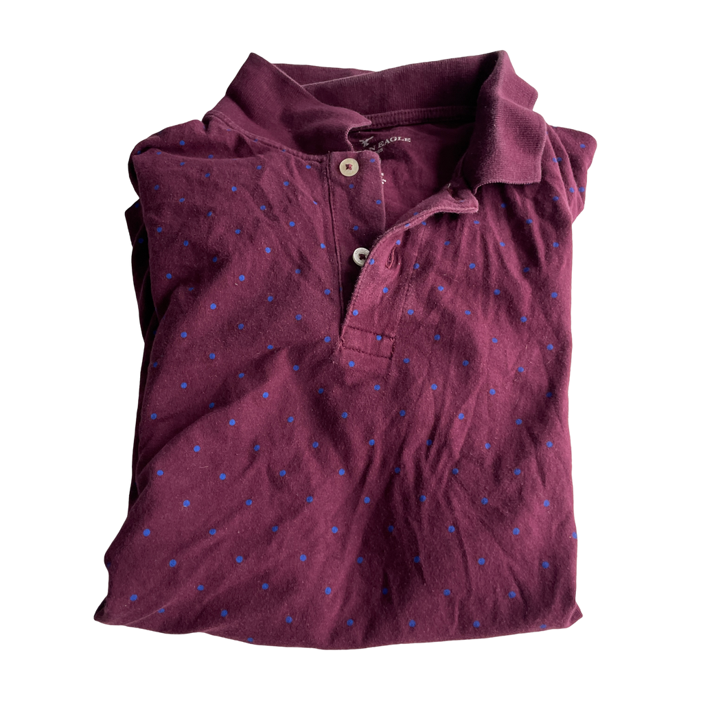 American Eagle Regular Fit Printed Polo