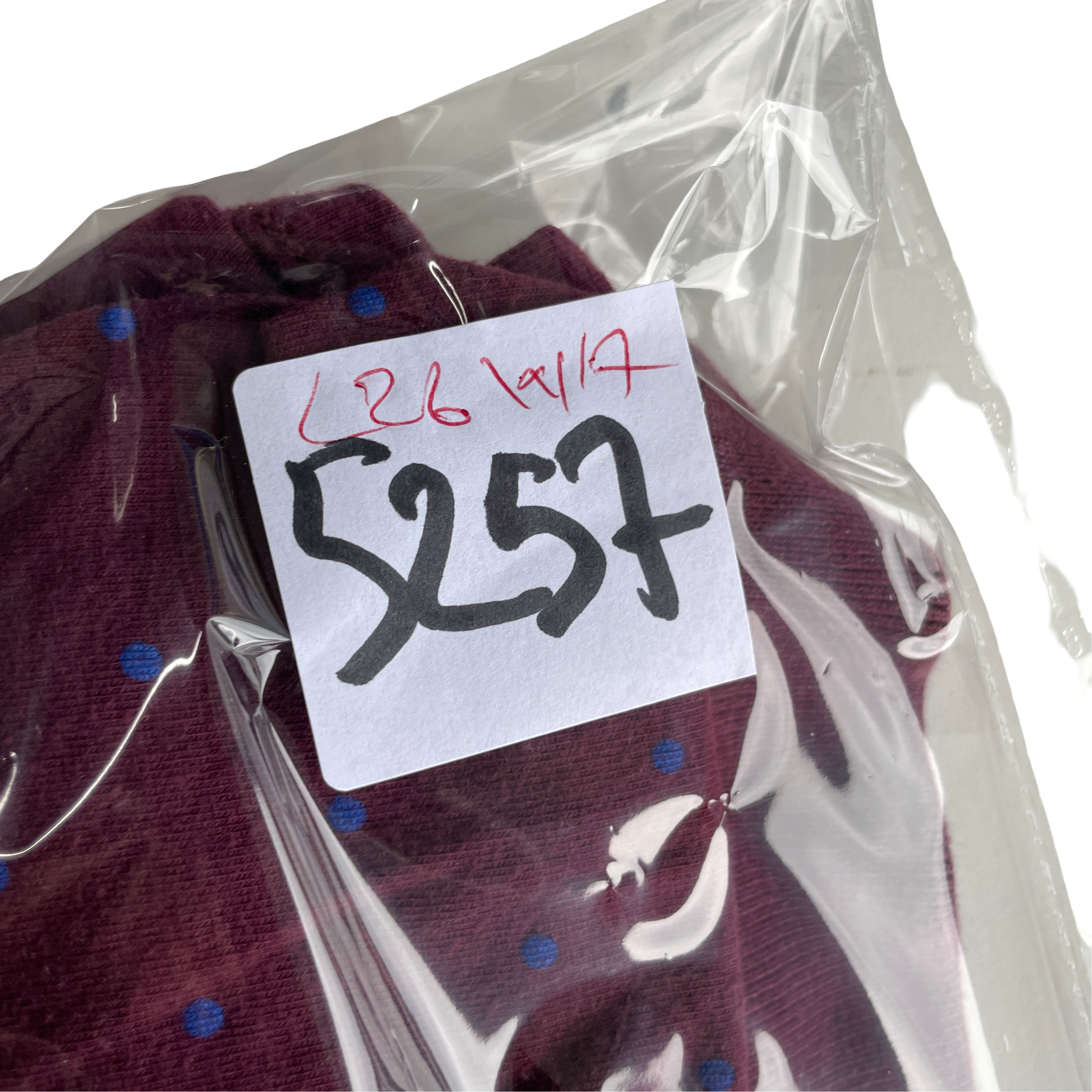 American Eagle Regular Fit Printed Polo