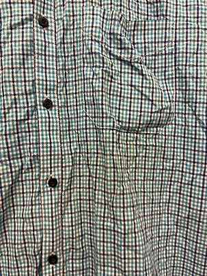 Rubynee Vintage y2k Louis Phillipe long sleeve blue checkered shirts size M