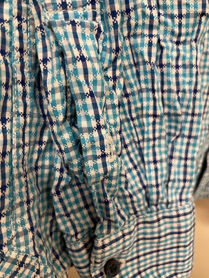 Rubynee Vintage y2k Louis Phillipe long sleeve blue checkered shirts size M