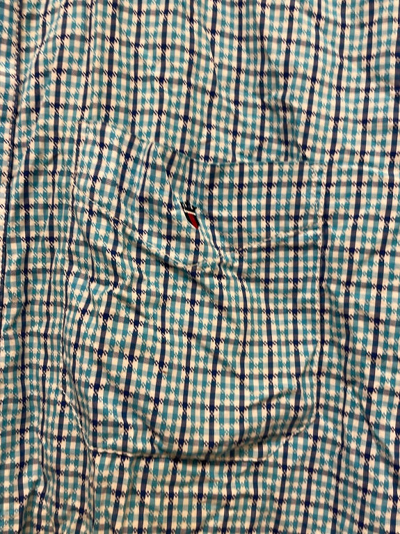 Rubynee Vintage y2k Louis Phillipe long sleeve blue checkered shirts size M