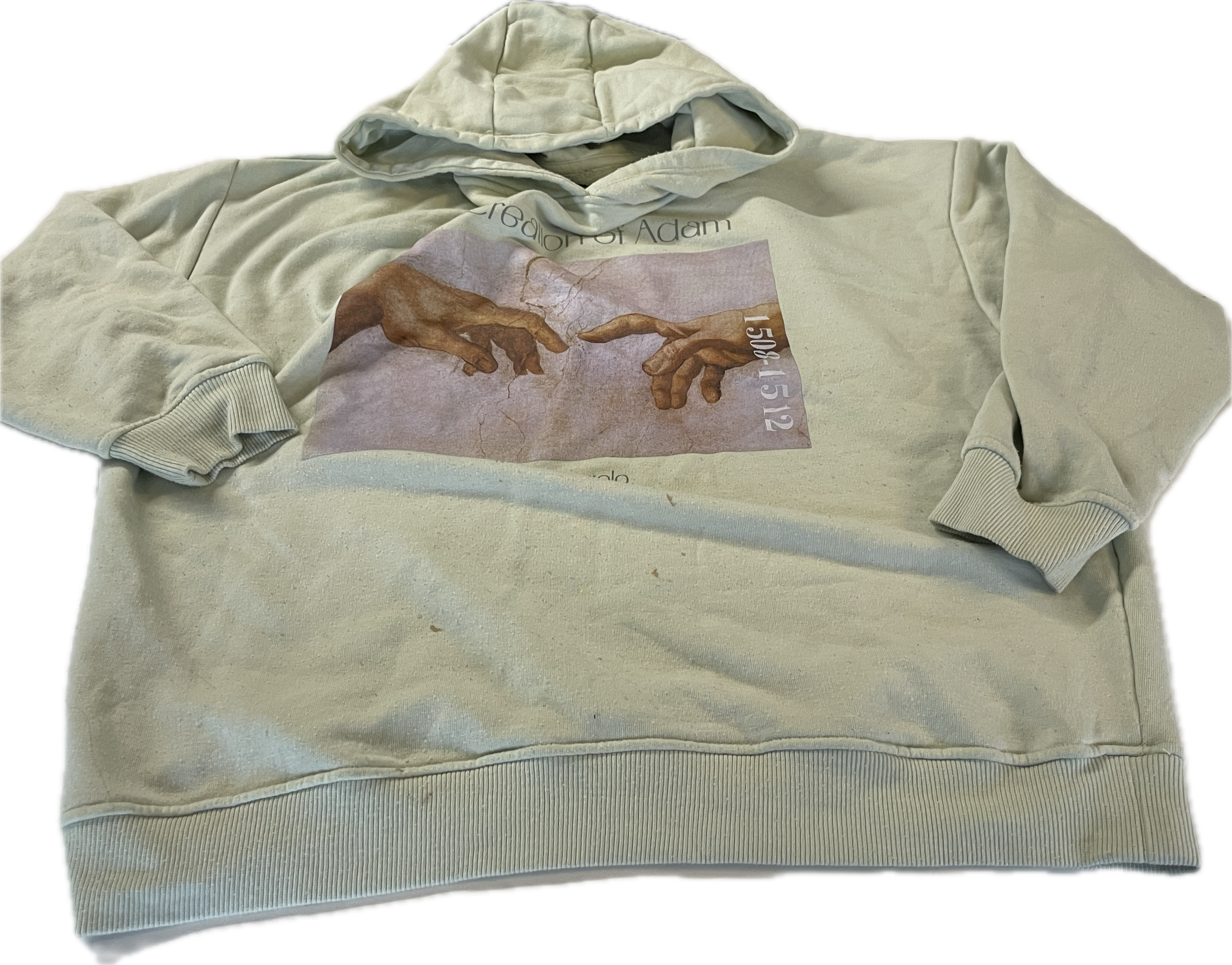 Green Creation of Adam Art Hoodie