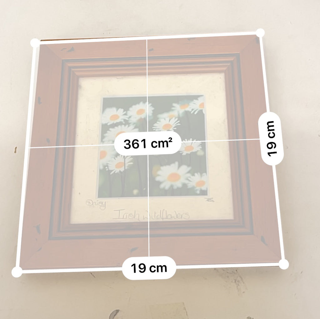 Rubynee Gold picture frames with art and flower design